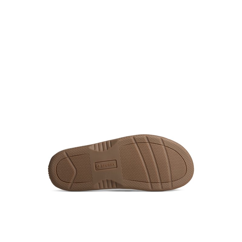 Sperry baitfish new arrivals